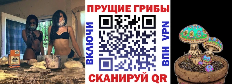 что такое наркотик  Бутурлиновка  Псилоцибиновые грибы ЛСД 